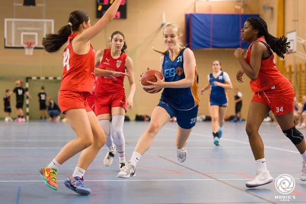 Image 47 from Kungsbacka basketcup 2025