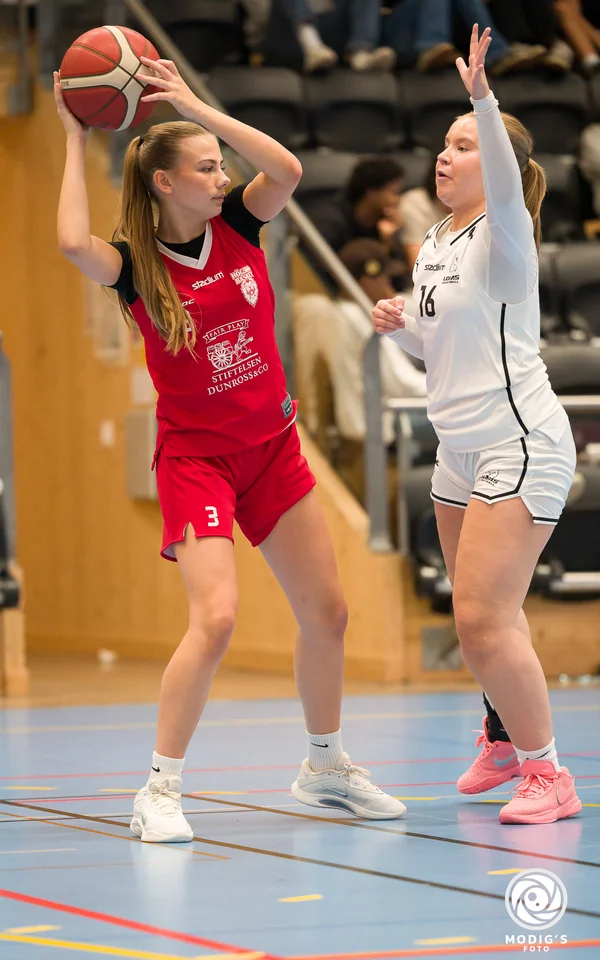 Vera Ajdukovic, Högsbo Basket