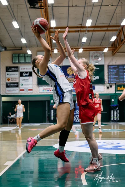Kerbel-Kaily Teeäär (12)