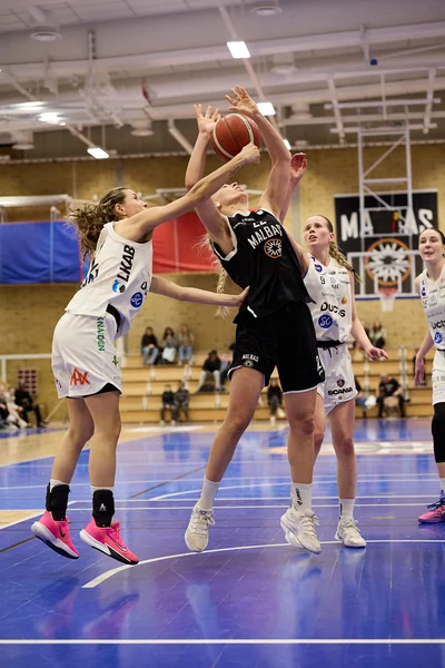 Foto: Magnus Modig / Modigs Foto